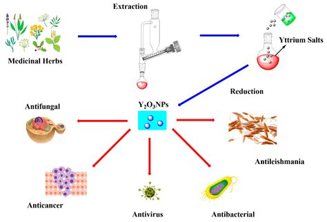 Yttrium Oxide Nanoparticles: Revolutionizing High-Performance Ceramics and Catalysis Applications!