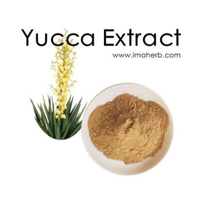 Yucca Extractie voor Cosmetica en Farmaceutische Producten!